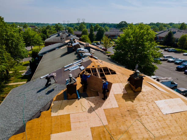 Best Flat Roof Repair Services  in La Presa, CA
