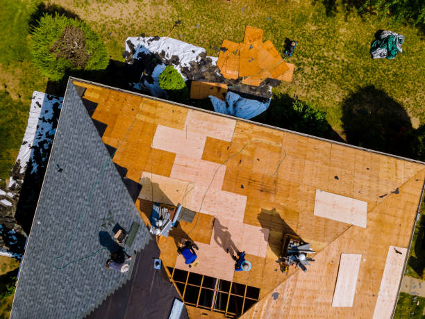 Best Residential Roofing Contractor  in La Presa, CA