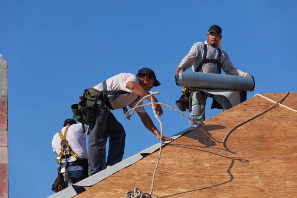 Best Emergency Roof Repair  in La Presa, CA