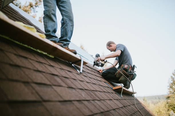 Best Storm Damage Roof Repair  in La Presa, CA