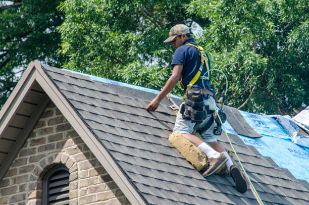 Best Metal Roofing Contractor  in La Presa, CA